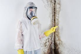 Washington, NJ Mold Removal Company